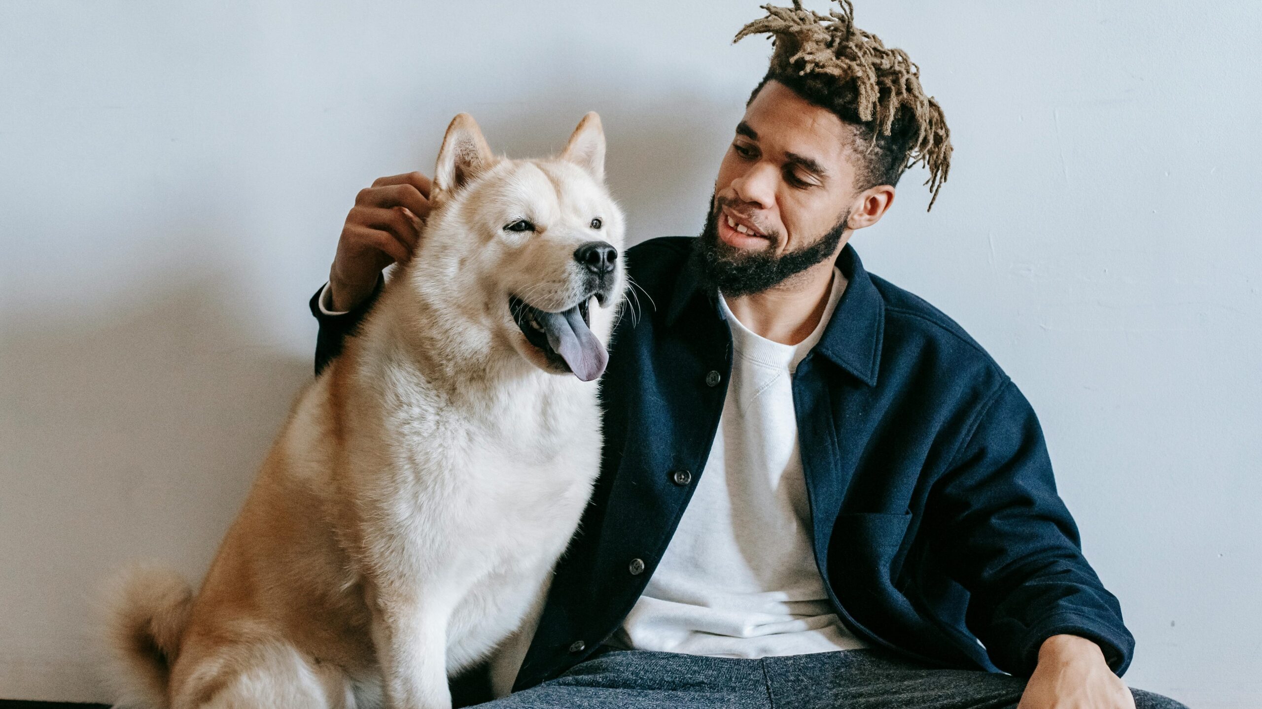 An image of a dog