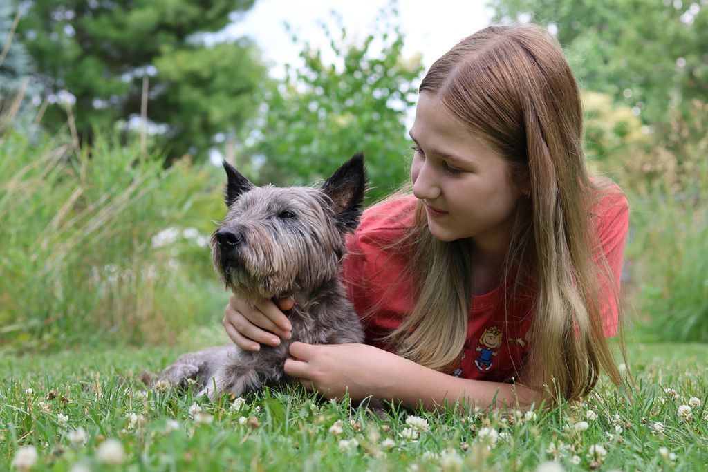 A young girl and her Scottish Deerhound enjoying a peaceful moment together on a grassy lawn.
